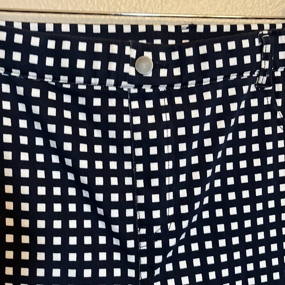 Legacy Navy Checkered Plus Size Pants